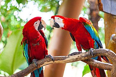 见证《命运2》未来，8月23日上斗鱼B站收看《命运2》展示赢好礼